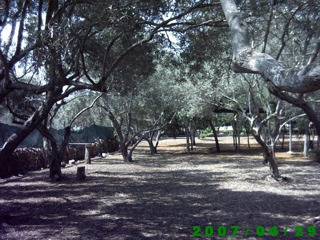 Mediterraneo Marzamemi Exterior foto